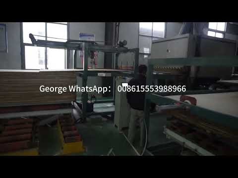plywood wood veneer sander sanding machine with automatic Sanding Line