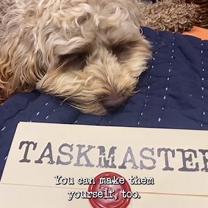 15K views · 262 reactions | Happy World Letter Writing Day! Send your next one in style with the official Taskmaster envelope. Available now: https://taskmasterstore.com/products/official-taskmaster-envelope | Taskmaster | Facebook