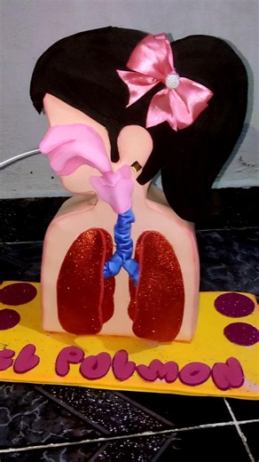 maqueta sistema respiratorio El pulmón en cartón y foami 😍😍😍🖌️🫟👩🏽‍🎨 #maqueta #maquetasistemarespira