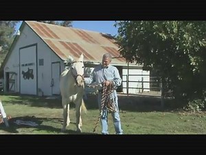 1.6K views · 19 reactions | Do you know what a Sidepull is? A...