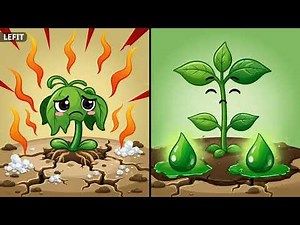 How Seaweed Makes Plants Stronger 🌱 | Cartoon Explanation for Kids