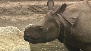 Seattle has a busy weekend ahead: Here's what you need to know