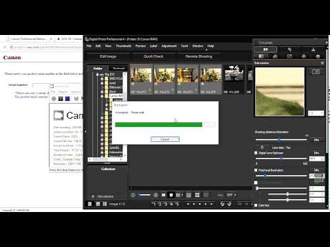 Converting RAW files to Jpeg using Canon Digital Photo Professional 4.x.x