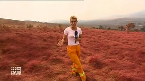 Fire crews in New South Wales and the ACT faced volatile conditions today, as some residents returned to confront the aftermath. #9News | 9 News Sydney