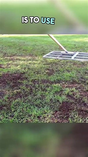 Spring lawn care tips 🌱 How to make small repairs on any lawn this spring #lawncare #lawntok #lawnadvice #lawncarecommunity #premierlawnscommunity
