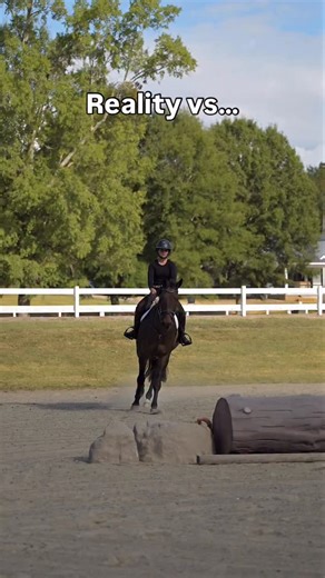 12K views · 70 reactions | Shop the best deals this spooky season during our Halloween flash sale  | Free Ride Equestrian | Facebook