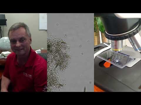 Digital Microscopy with the BRESSER Science Infinity Microscope