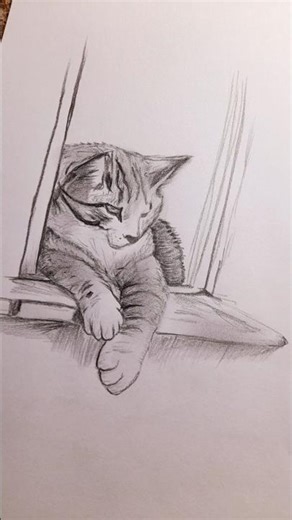cat drawing with pencil #catdrawing #kittendrawing