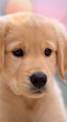 Brave Hamster vs Toy Crocodile! 🐊 Puppy and Kitten's Shocking Reaction #ai #aianimals