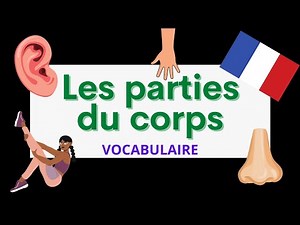 Learn Parts of the Body in French Video Lecture | French for Class 6