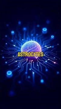 🧠 Your Brain Has Cells That Think Faster Than Neurons Astrocytes #Neuroscience #Astrocytes