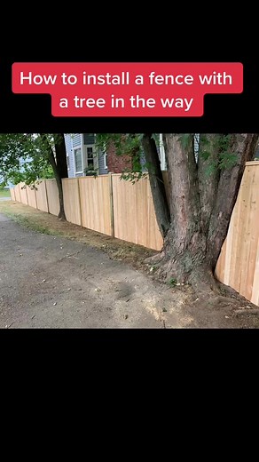 How to install a fence when there’s a tree in the way. #hacks #diy #fence #tree #fypシ #fyp #tips