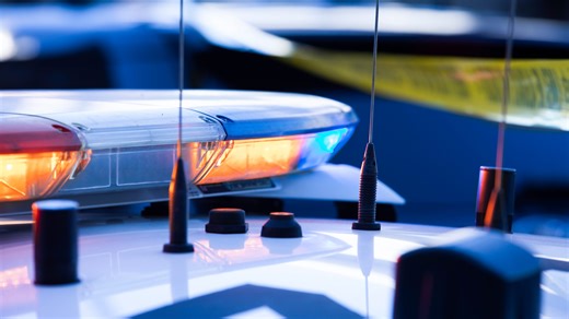 Fond du Lac man fired gun to protect himself from dogs, police say