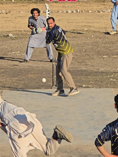 Incredible Cricket Shots Compilation