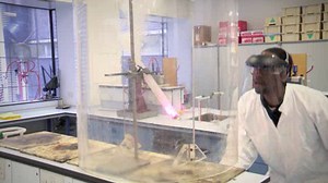 KS3 / GCSE Biology: Food as a fuel