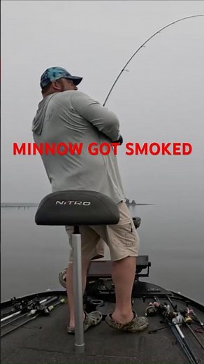 ''Watched this Bass EAT the Minnow on Live Scope! #cgwhackem #bassfishing #fishingshorts #fishing