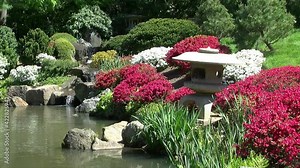 Stone lanterns and azalea bushes along the edge of a koi pond in a Japanese garden.