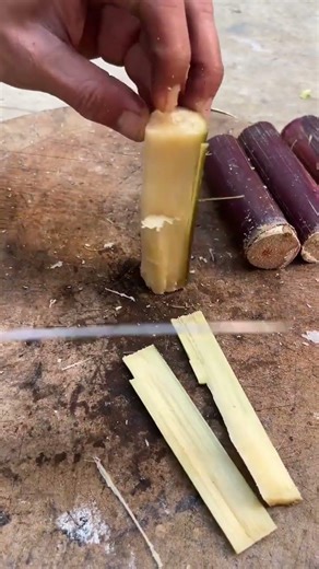 Uncover Hidden Delicacies: A Beginner's Guide to Wild Vegetable Hunting