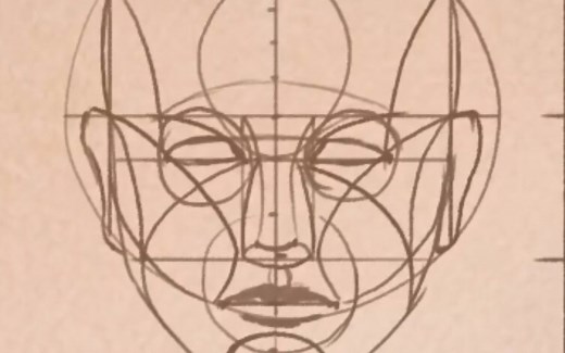 「搬运」Reilly Method 头像画法 正面