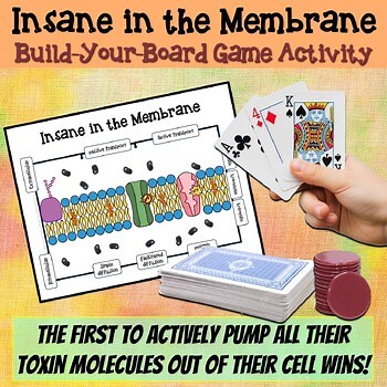Build a Cell Membrane   Cell Transport Card Game Lab Activity