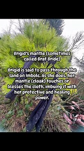 Imbolc (around Feb 1–2) is all about the first stirrings of spring, light returning, and new beginnings. Hanging a scarf (or cloth/ribbon) outside ties into a few old folk magic #witchytips #spellsandrituals #celticgoddess #celticwitch #witchcrafting #goddess #goddessenergy #brigid #imbolc | The Celtic Witch )0(