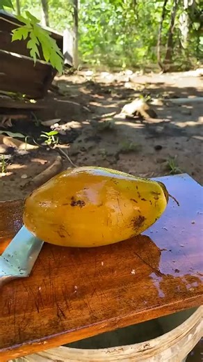 Mastering Coconut Cutting Skills
