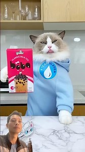Mom is wasting bubble tea! #cat #cute