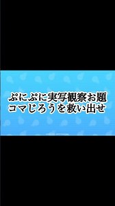 ぷにぷに実写観察お題！コマじろうを救い出せ！ #ぷにぷに #妖魔人 #gameplay #妖怪ウォッチぷにぷに #ゆっくり実況 #チャンネル登録お願いします #ゲーム #ゲーム実況
