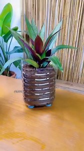 Transforming trash into treasurel | Plastic Recycling Art