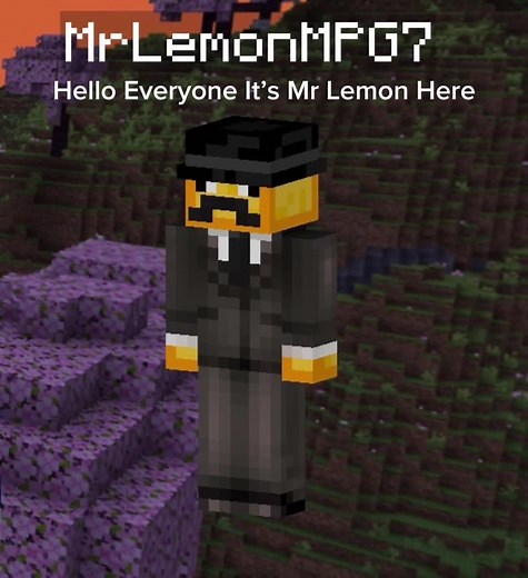 I Made My Minecraft Account #melonplayground #roblox #minecraft