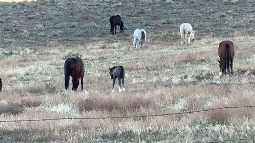 Jamie brewer photography on Reels