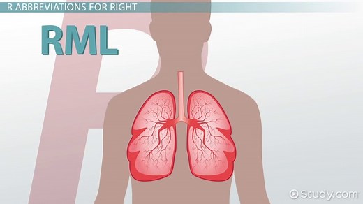 Common Medical Abbreviations P - R