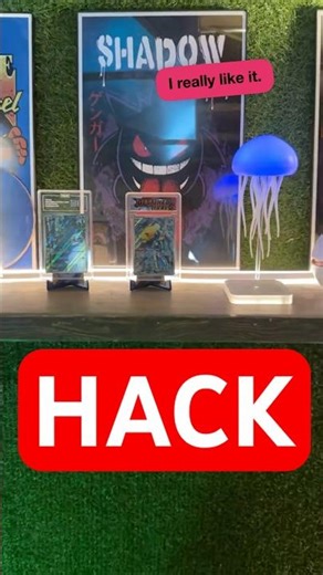 Building the Ultimate Pokémon Card Display!