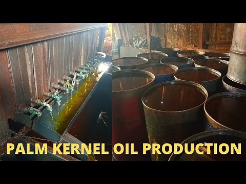 Palm Kernel Oil Production In Enugu, Nigeria ||How We Do It Here In Africa #PalmKernelOil #Enugu
