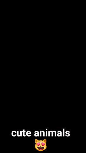 so cute 😻😻 | Cute animals