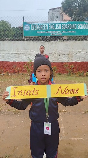 68K views · 793 reactions | Project work: Name of insects Grade: UKG 'B' Facilitated by: Sushila ma'am | Evergreen English Boarding School | Facebook