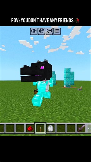 Minecraft Play with Ender Dragon 💀
