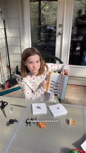 From curious questions to careful hands-on work, our Bug Pinning Workshop brought the tiny world of insects up close. 者✨ Thanks to everyone who joined us to explore, observe, and learn together! #workshop #nature #bugs | Families in Nature | Facebook