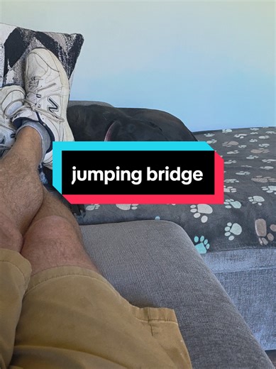 Exploring Sugarloaf Key: Adventures with Bagel at Secret Beach