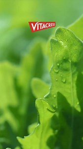 11K views · 39 reactions | Ganhe uma road trip, com tudo incluído,...