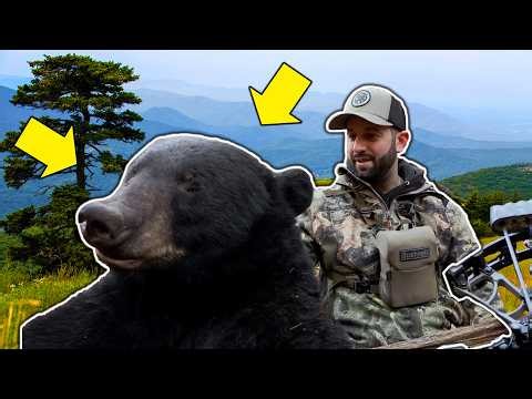 BIG Virginia Black Bear and Whitetail Buck Hunt!