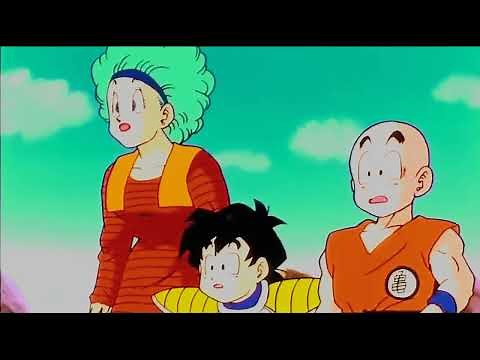 Goku meets Trunks for the first time