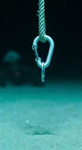 90 Metres Down. Umbilical Snapped. 30 Minutes Without Air. He Survived.