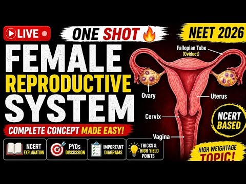 Female Reproductive System 🔥 One Shot | NCERT + PYQs | NEET 2026 LIVE #humanreproductionclass12 #yt