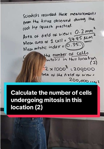 Calculate the number of cells undergoing mitosis in this location (AQA A‑level Biology)
