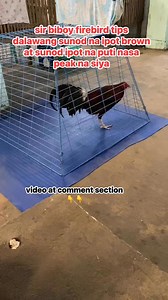 tips mula kay firebird gf | Marlon Aronales Cawit