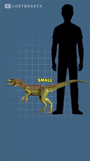 The true age of the dinosaurs