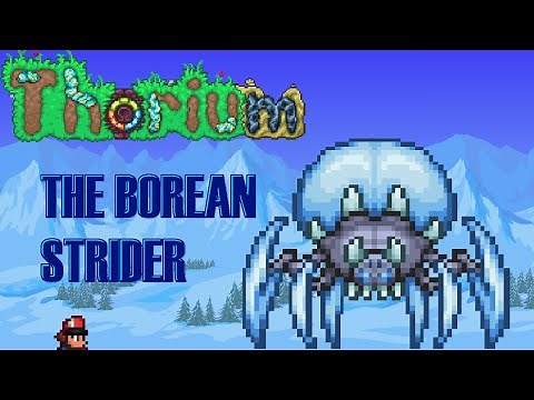 The Borean Strider Guide! Thorium Expert Bard