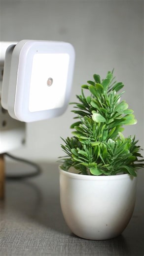 இது என்னவென்று தெரியுமா? 🤫 இதோட பயன் தெரிஞ்சா ஆச்சரியப்படுவீங்க! #experiment #shortsfeed