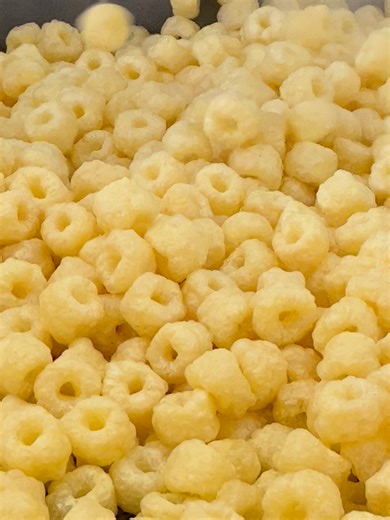 Puffed Ring Snack Processing Equipment Guide